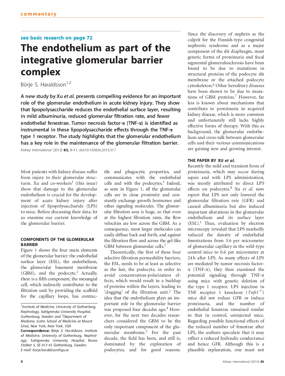 The endothelium as part of the integrative glomerular barrier complex