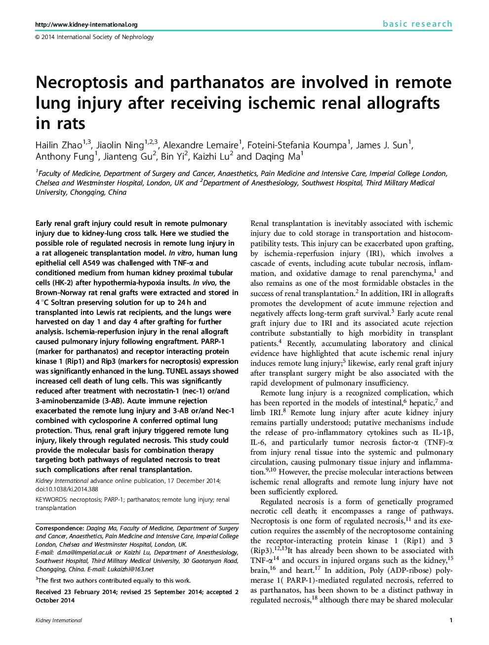 Necroptosis and parthanatos are involved in remote lung injury after receiving ischemic renal allografts in rats