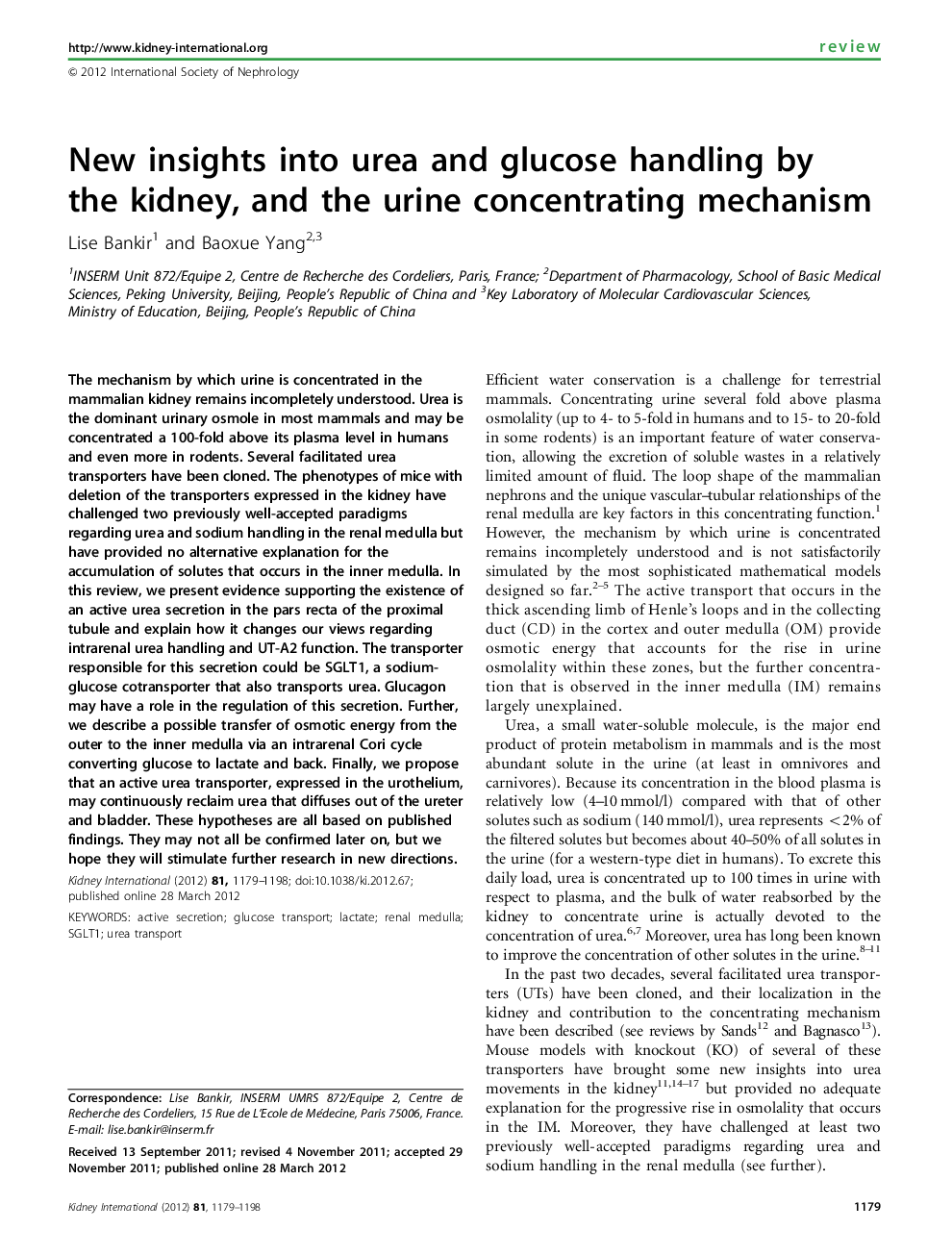 New insights into urea and glucose handling by the kidney, and the urine concentrating mechanism