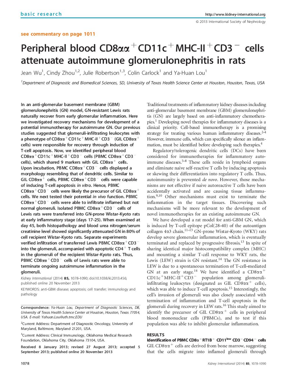 Peripheral blood CD8Î±Î±+CD11c+MHC-II+CD3- cells attenuate autoimmune glomerulonephritis in rats