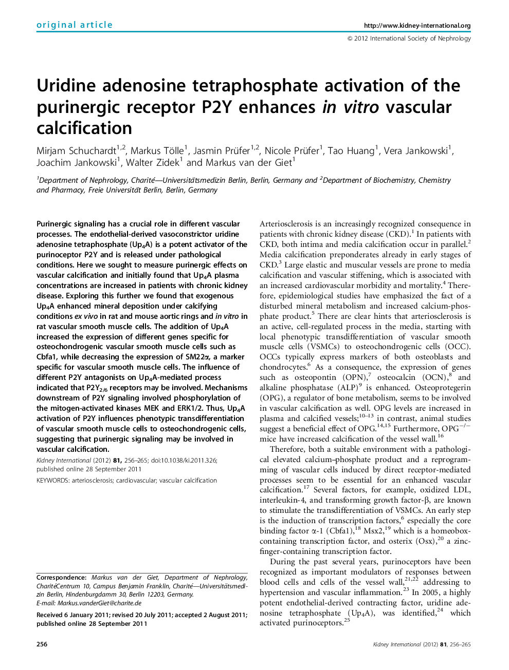 Original ArticleUridine adenosine tetraphosphate activation of the purinergic receptor P2Y enhances in vitro vascular calcification