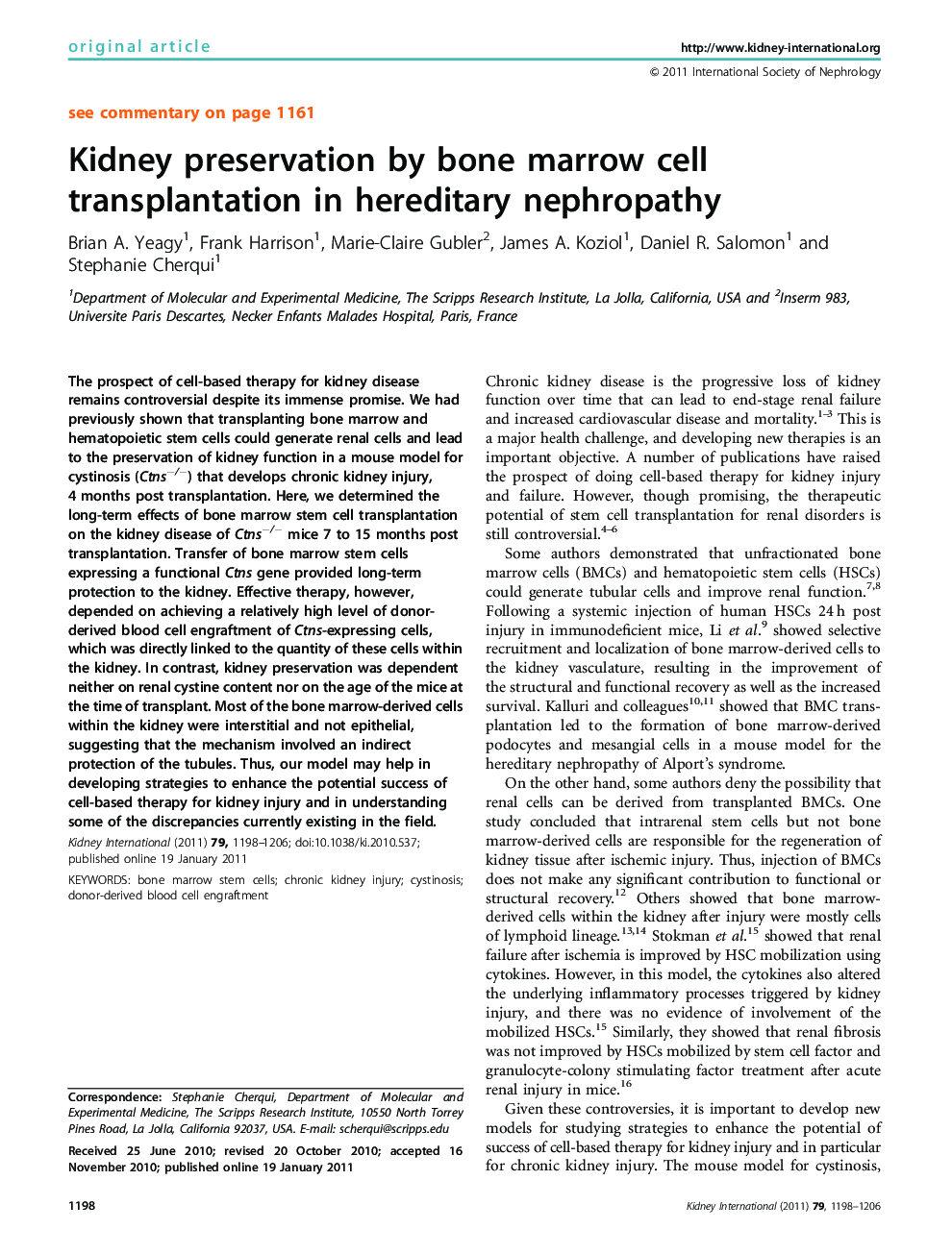 Kidney preservation by bone marrow cell transplantation in hereditary nephropathy