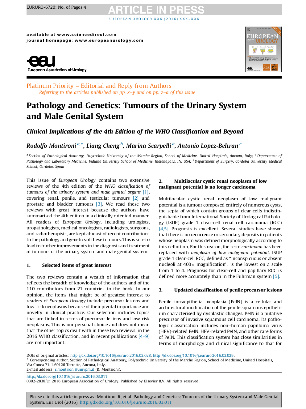 Pathology and Genetics: Tumours of the Urinary System and Male Genital System