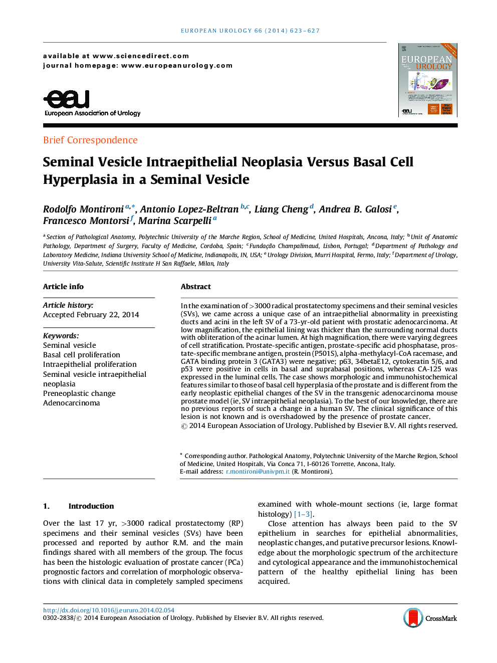 Seminal Vesicle Intraepithelial Neoplasia Versus Basal Cell Hyperplasia in a Seminal Vesicle