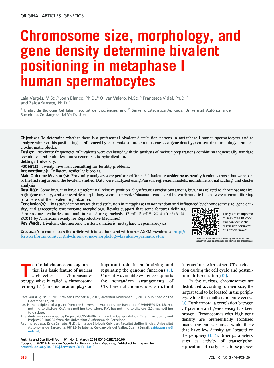 Chromosome size, morphology, and gene density determine bivalent positioning in metaphase I human spermatocytes