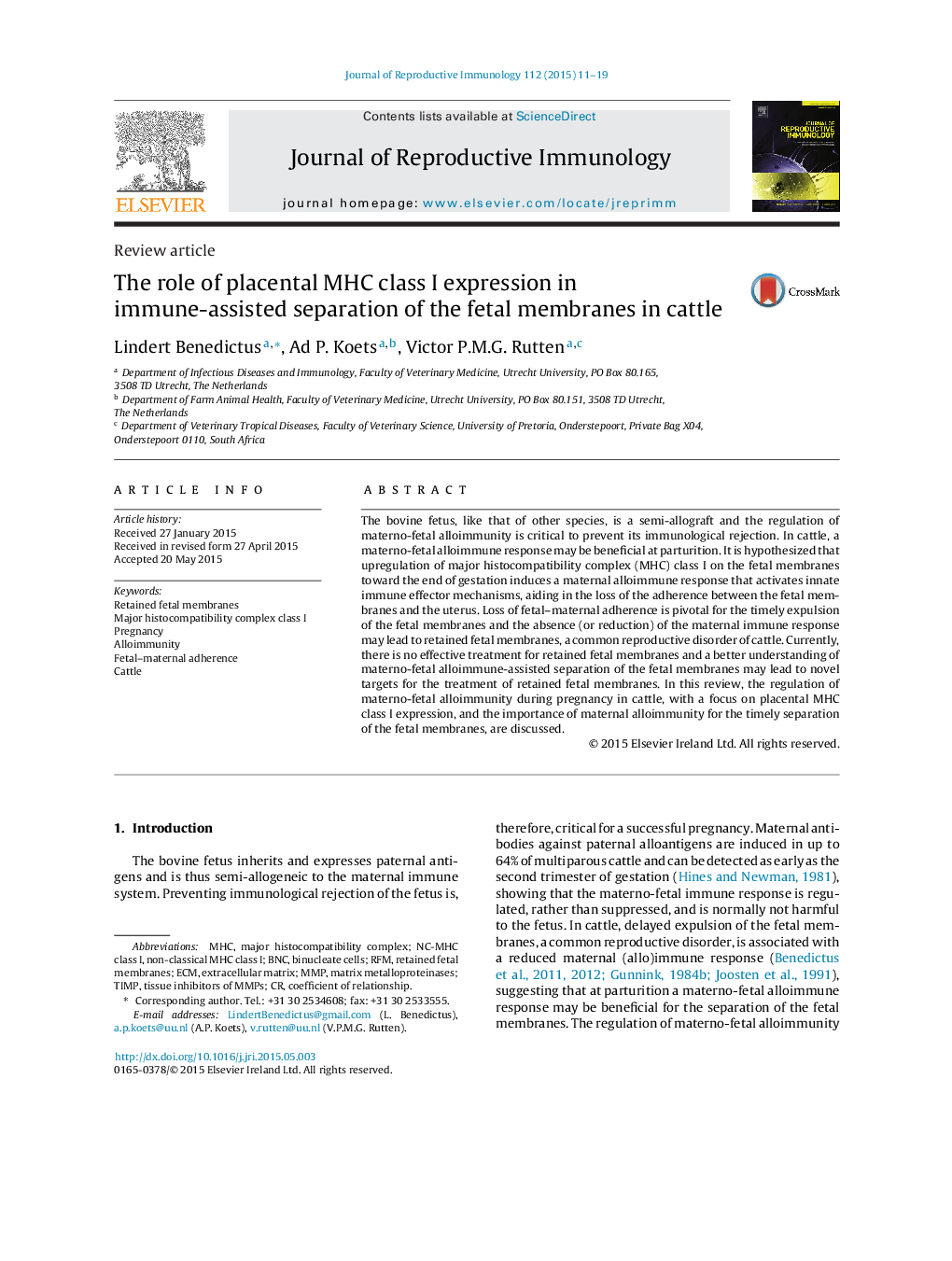 The role of placental MHC class I expression in immune-assisted separation of the fetal membranes in cattle