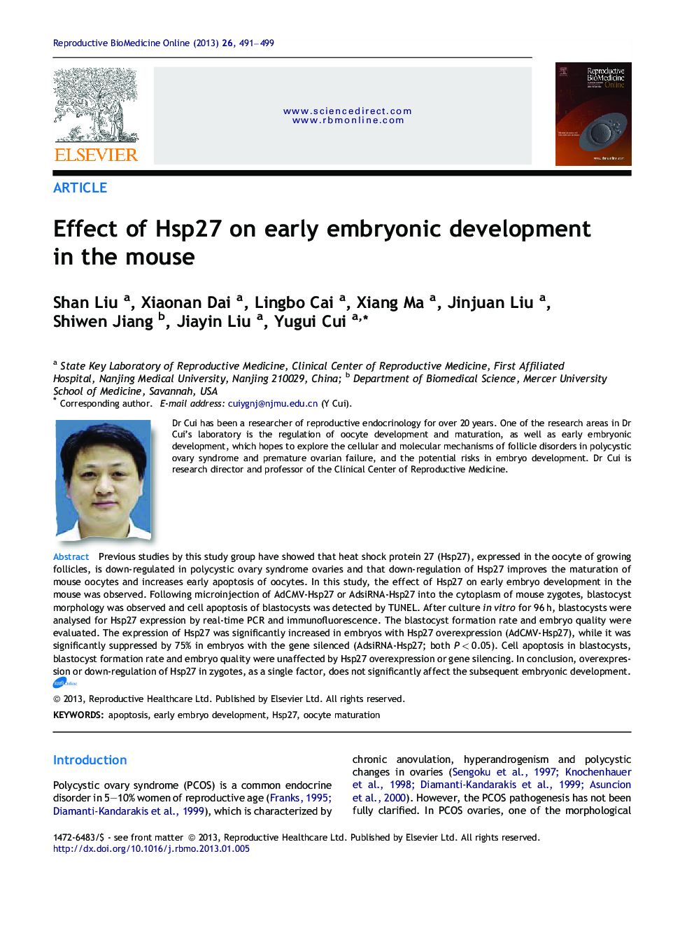 Effect of Hsp27 on early embryonic development in the mouse