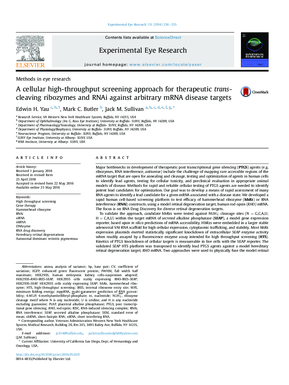 A cellular high-throughput screening approach for therapeutic trans-cleaving ribozymes and RNAi against arbitrary mRNA disease targets