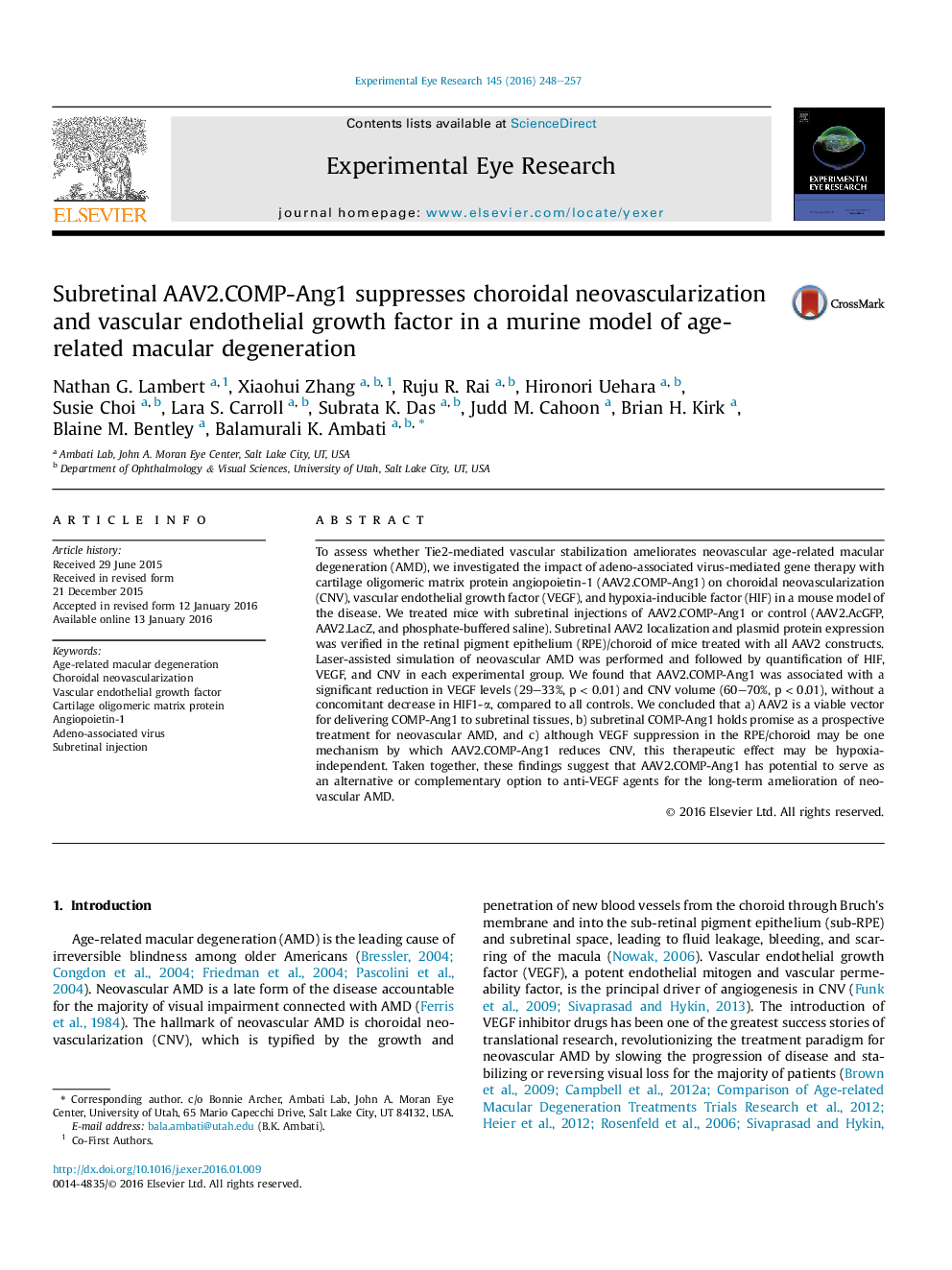 Subretinal AAV2.COMP-Ang1 suppresses choroidal neovascularization and vascular endothelial growth factor in a murine model of age-related macular degeneration