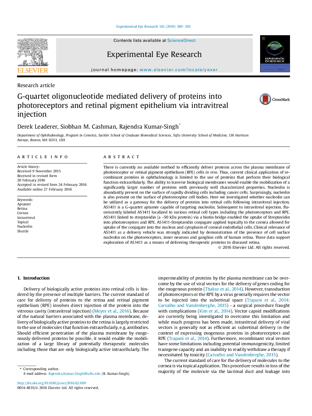 G-quartet oligonucleotide mediated delivery of proteins into photoreceptors and retinal pigment epithelium via intravitreal injection