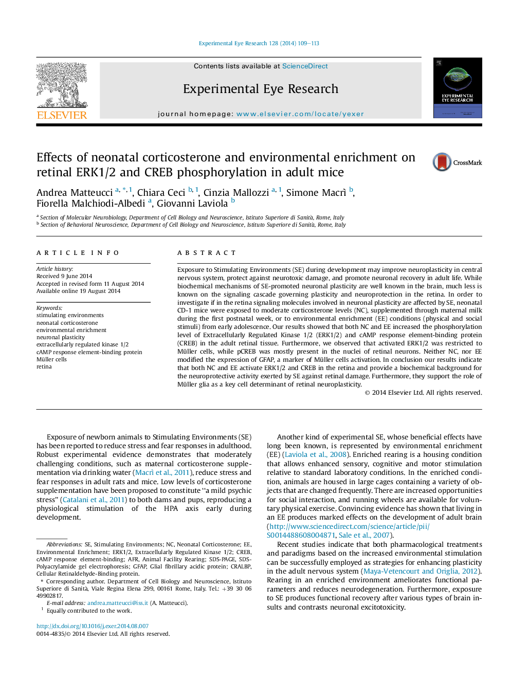 Effects of neonatal corticosterone and environmental enrichment on retinal ERK1/2 and CREB phosphorylation in adult mice