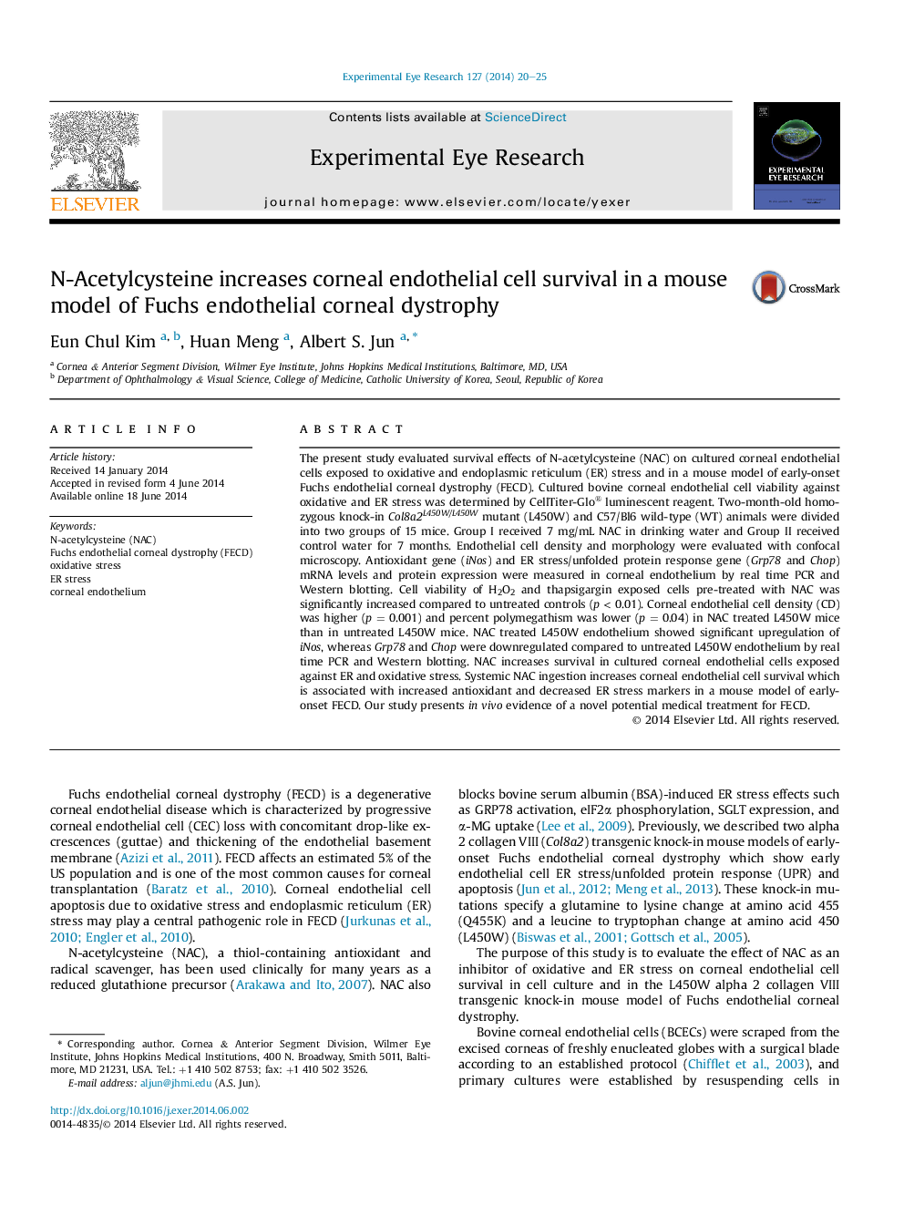 N-Acetylcysteine increases corneal endothelial cell survival in a mouse model of Fuchs endothelial corneal dystrophy