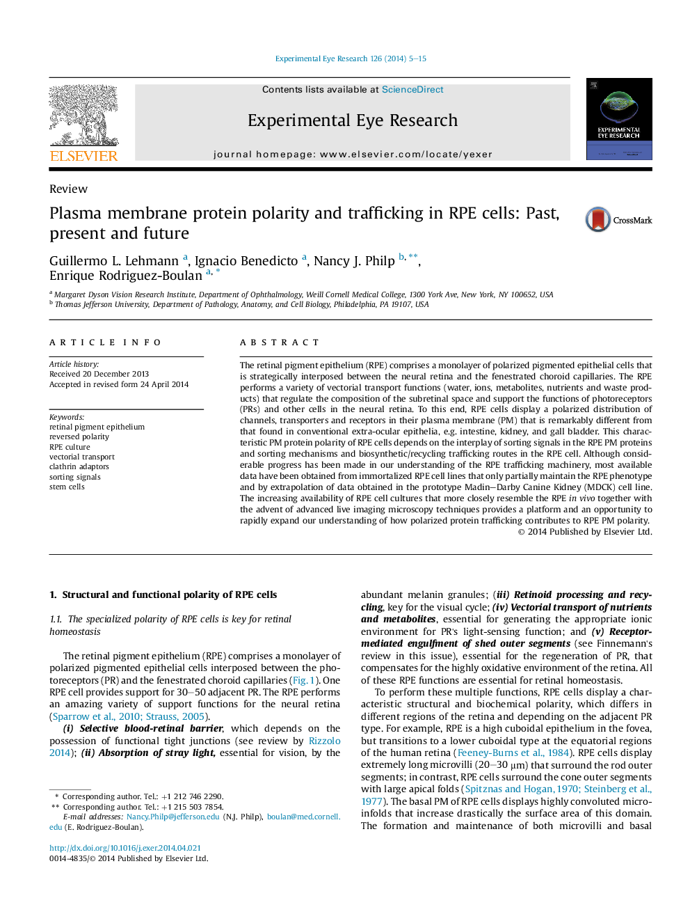 Plasma membrane protein polarity and trafficking in RPE cells: Past, present and future