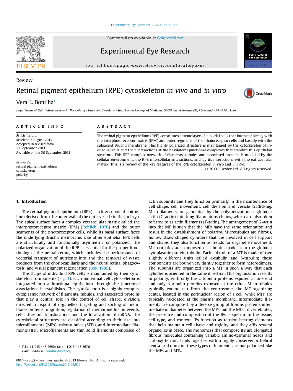 Retinal pigment epithelium (RPE) cytoskeleton inÂ vivo and inÂ vitro