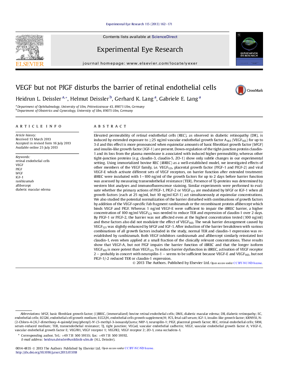 VEGF but not PlGF disturbs the barrier of retinal endothelial cells