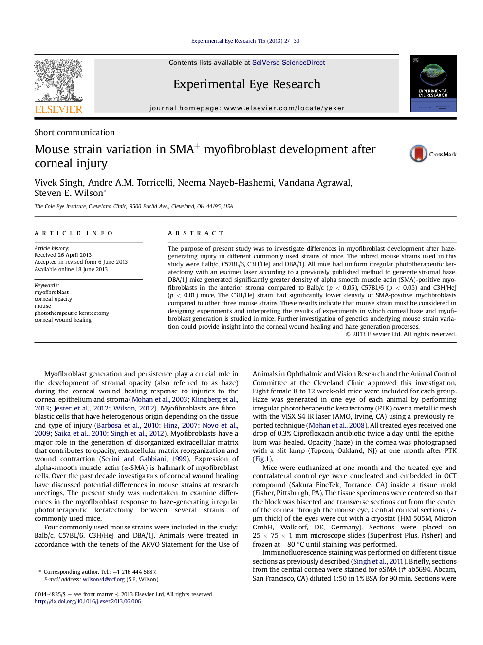 Mouse strain variation in SMA+ myofibroblast development after corneal injury