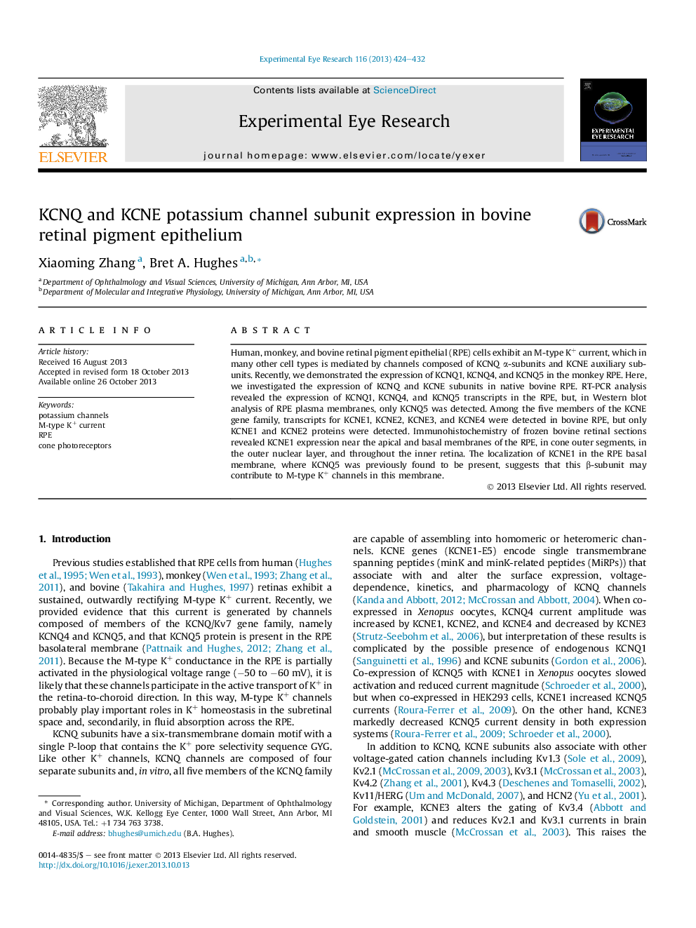 KCNQ and KCNE potassium channel subunit expression in bovine retinal pigment epithelium