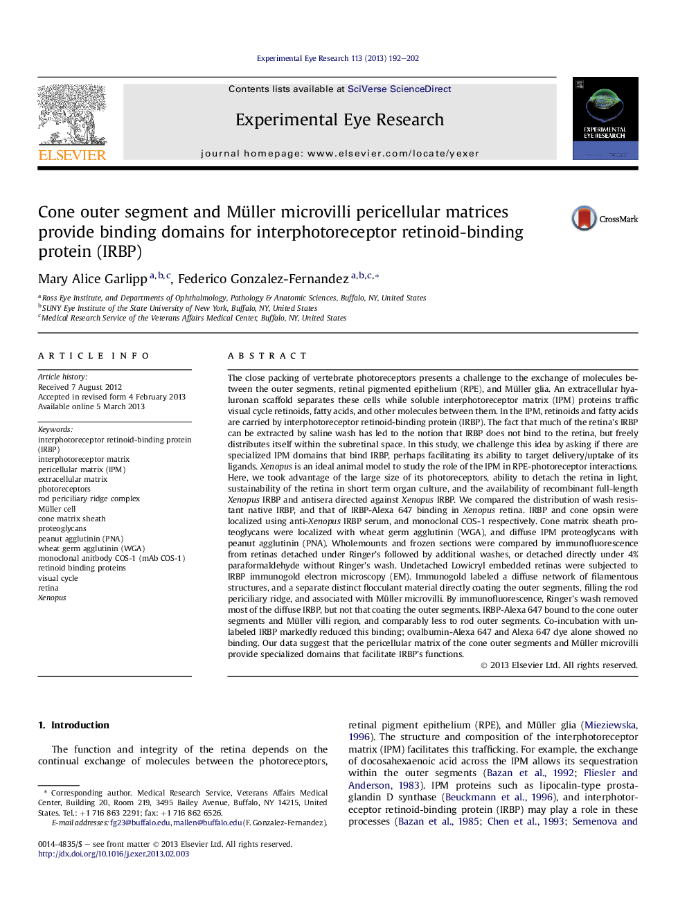 Cone outer segment and Müller microvilli pericellular matrices provide binding domains for interphotoreceptor retinoid-binding protein (IRBP)