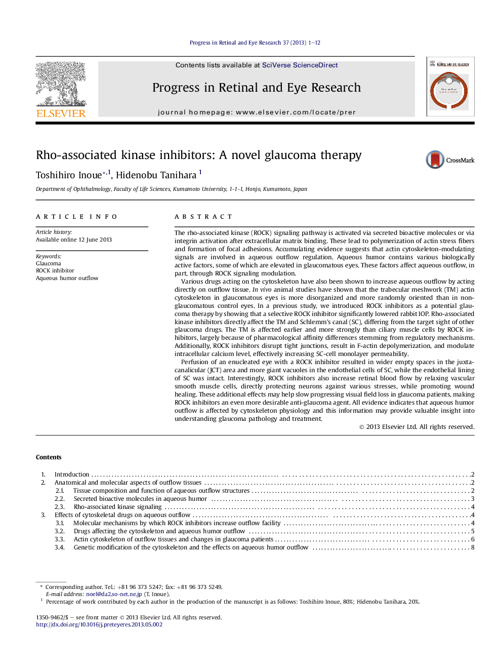 Rho-associated kinase inhibitors: A novel glaucoma therapy