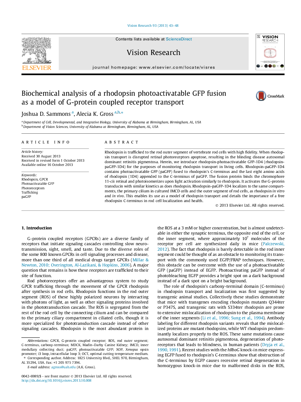 Biochemical analysis of a rhodopsin photoactivatable GFP fusion as a model of G-protein coupled receptor transport