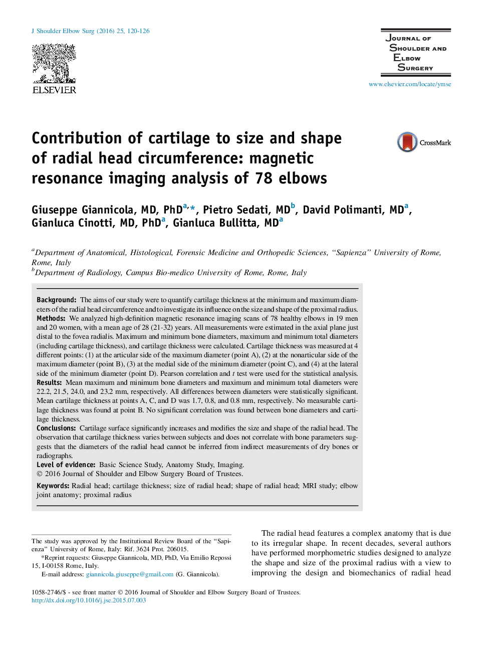 Contribution of cartilage to size and shape of radial head circumference: magnetic resonance imaging analysis of 78 elbows