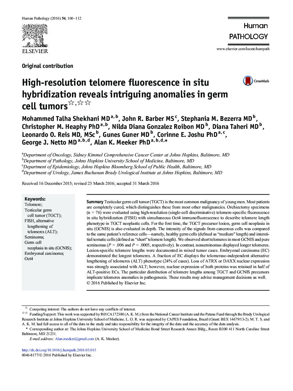 High-resolution telomere fluorescence in situ hybridization reveals intriguing anomalies in germ cell tumors