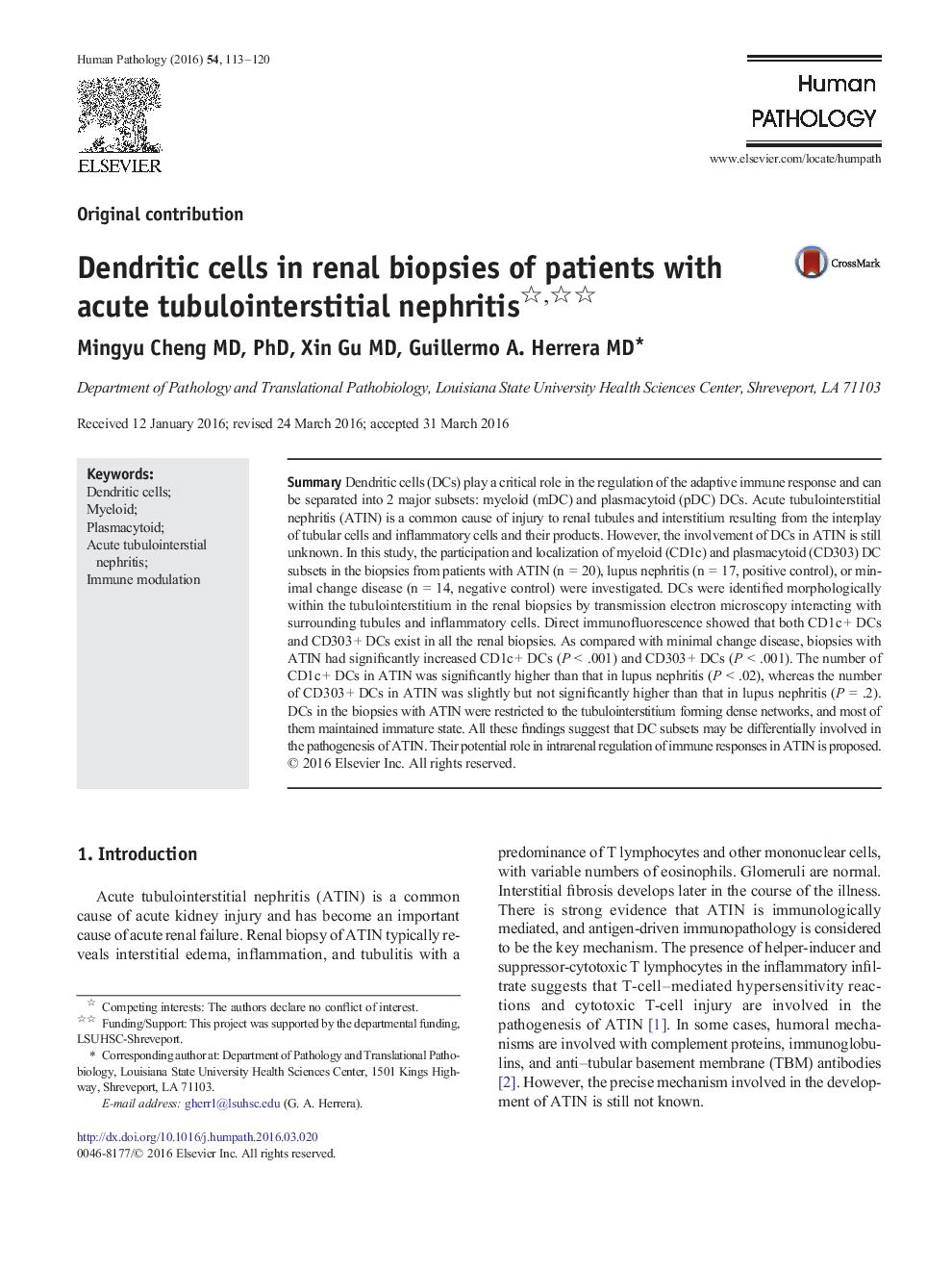 Dendritic cells in renal biopsies of patients with acute tubulointerstitial nephritis