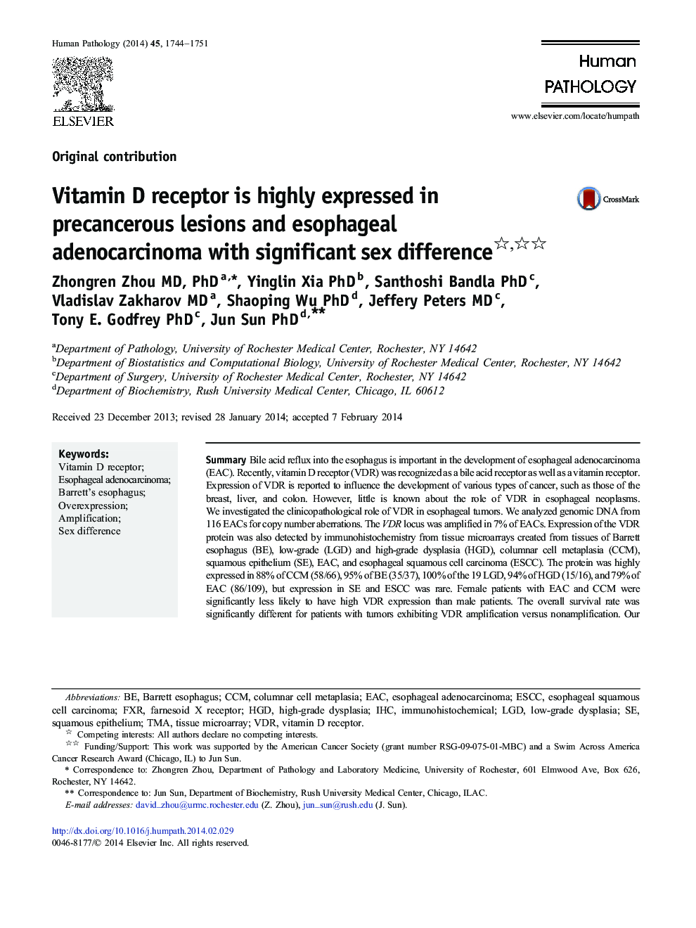 Vitamin D receptor is highly expressed in precancerous lesions and esophageal adenocarcinoma with significant sex difference