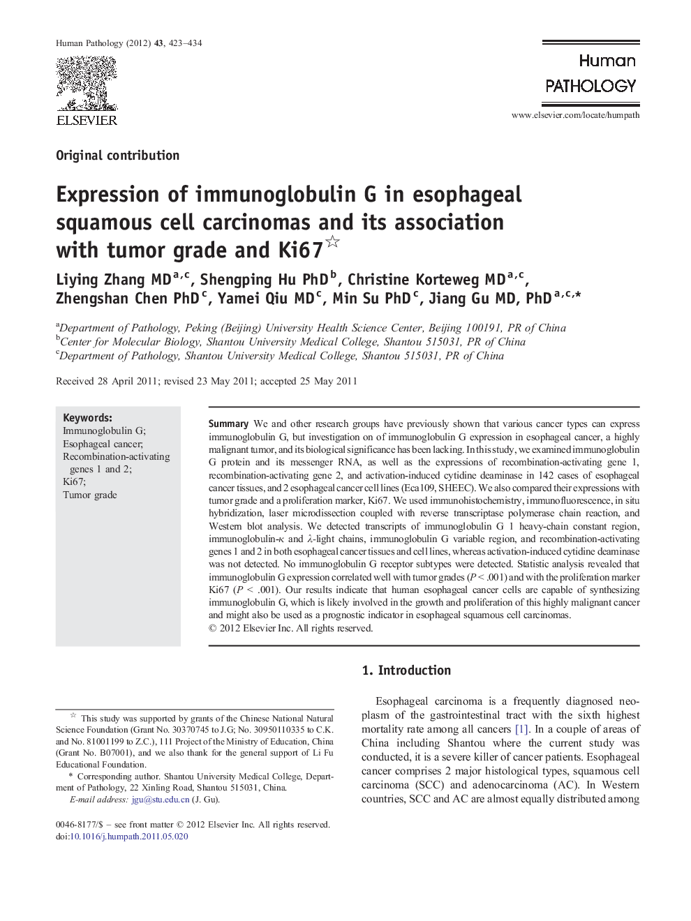 Expression of immunoglobulin G in esophageal squamous cell carcinomas and its association with tumor grade and Ki67