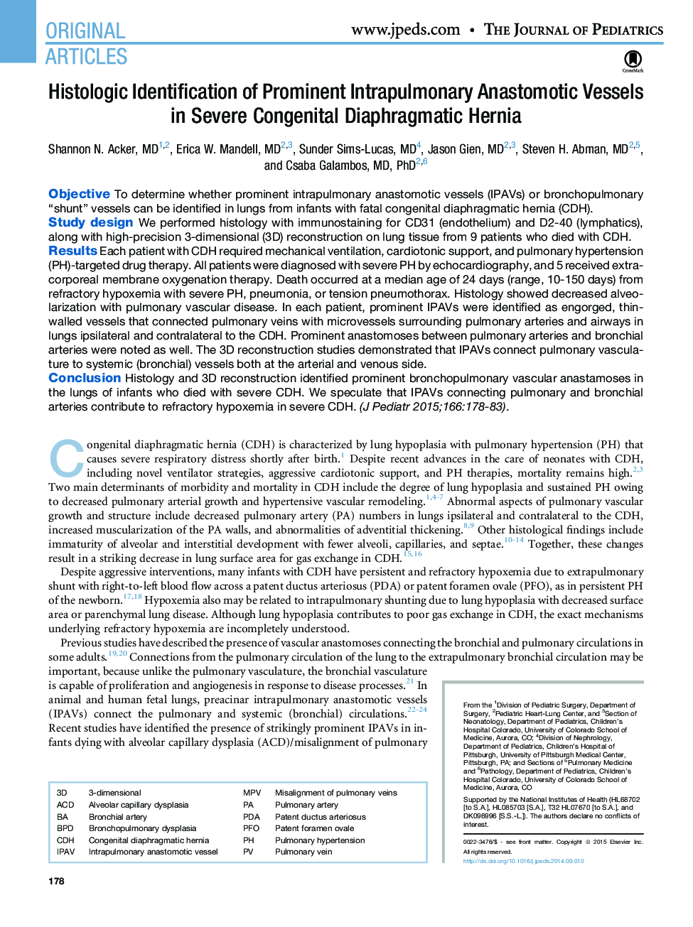 Histologic Identification of Prominent Intrapulmonary Anastomotic Vessels in Severe Congenital Diaphragmatic Hernia