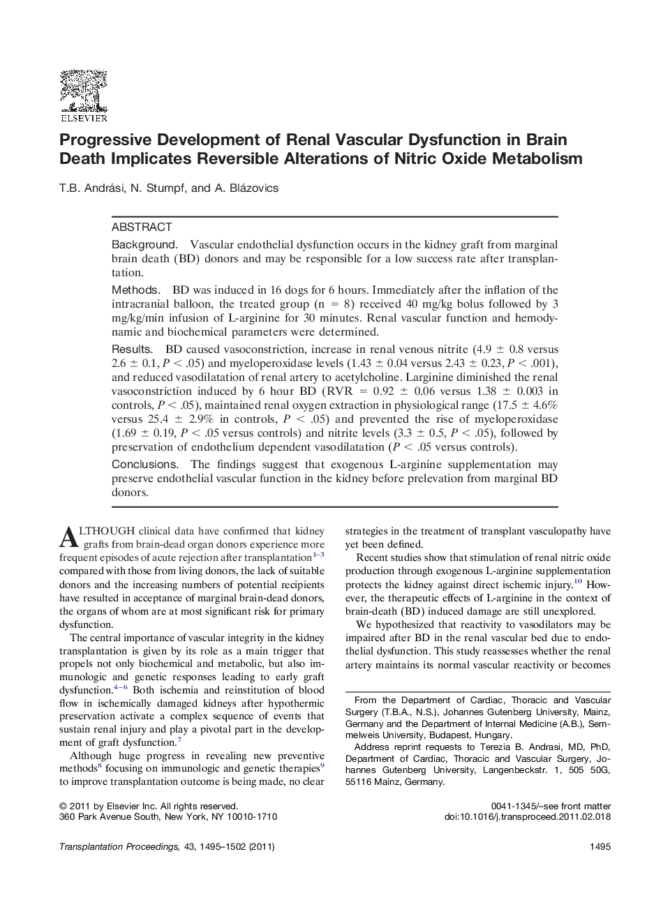 Progressive Development of Renal Vascular Dysfunction in Brain Death Implicates Reversible Alterations of Nitric Oxide Metabolism