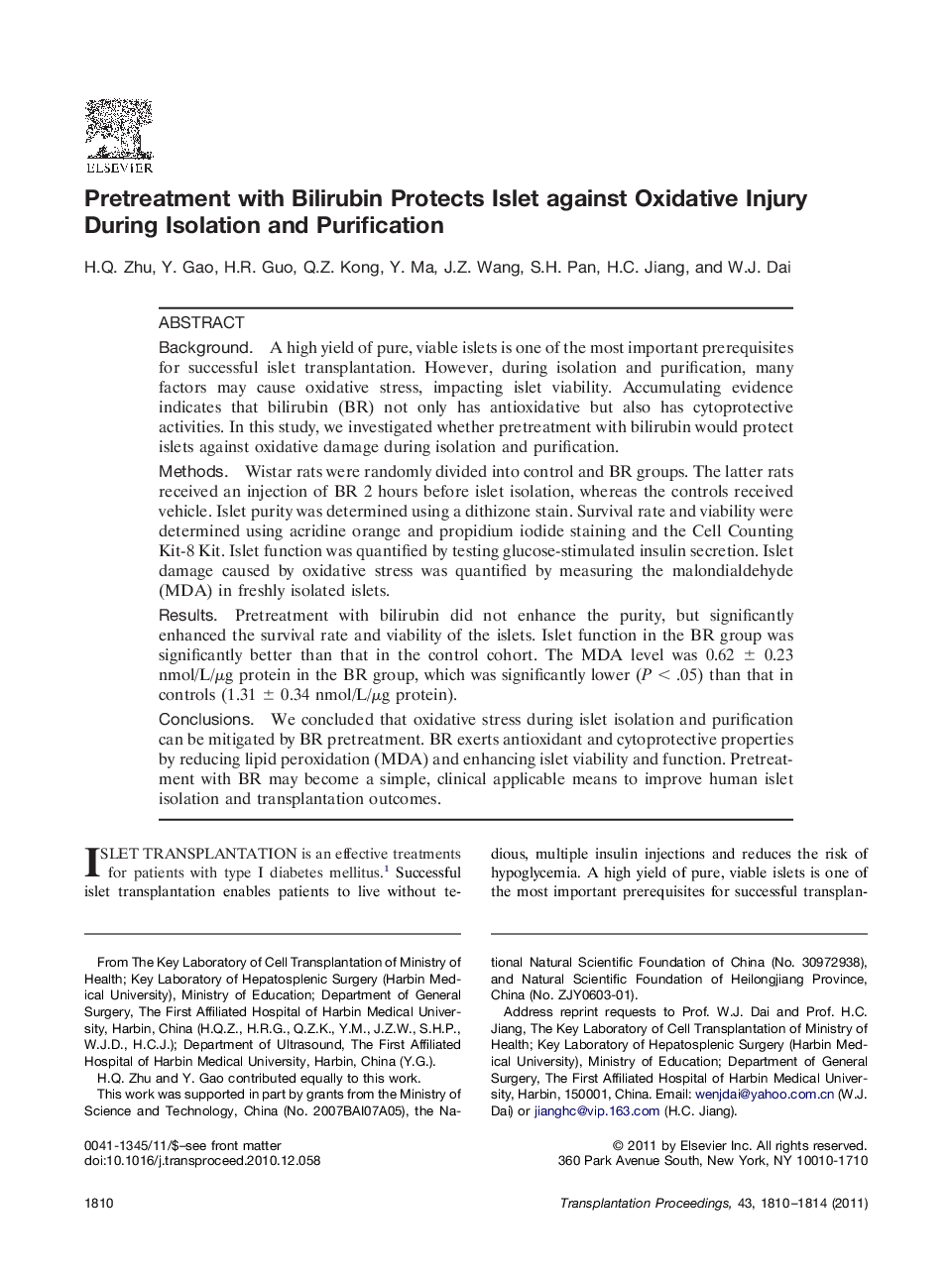 Pretreatment with Bilirubin Protects Islet against Oxidative Injury During Isolation and Purification