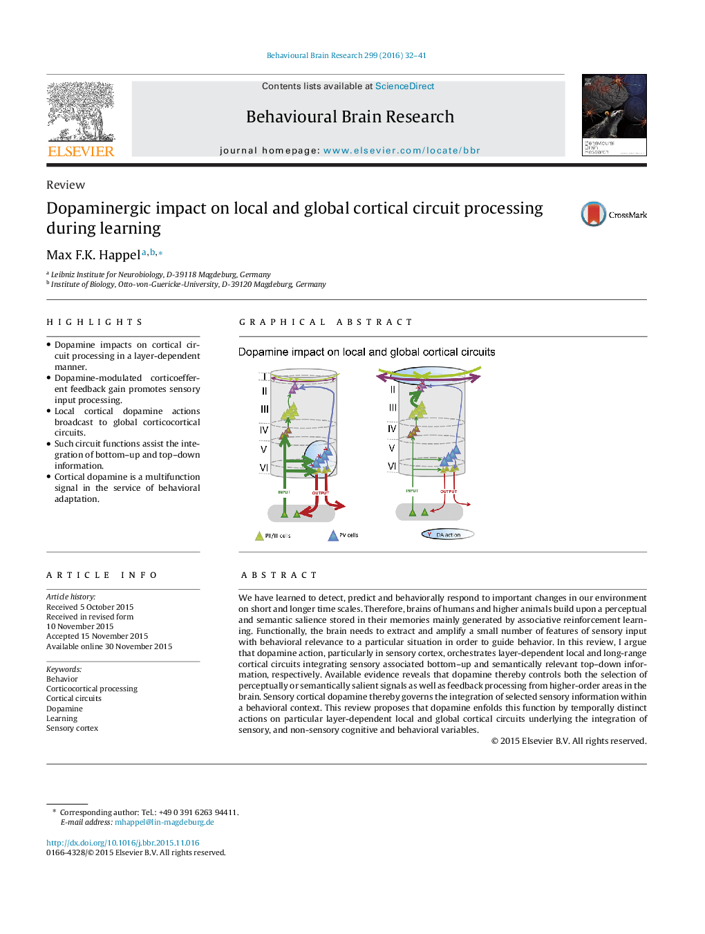 ReviewDopaminergic impact on local and global cortical circuit processing during learning