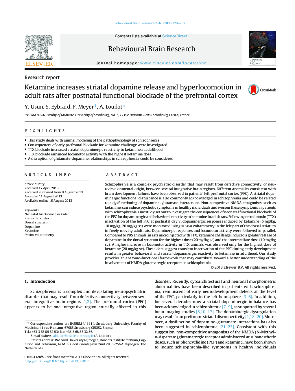 Research reportKetamine increases striatal dopamine release and hyperlocomotion in adult rats after postnatal functional blockade of the prefrontal cortex