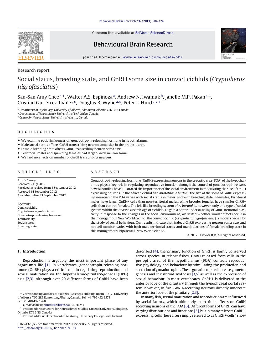 Research reportSocial status, breeding state, and GnRH soma size in convict cichlids (Cryptoheros nigrofasciatus)