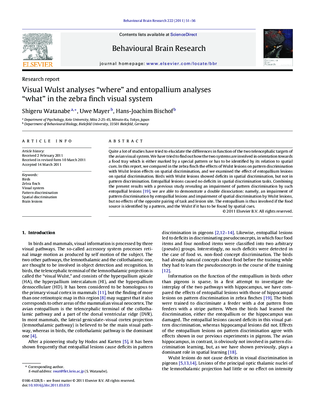 Research reportVisual Wulst analyses “where” and entopallium analyses “what” in the zebra finch visual system