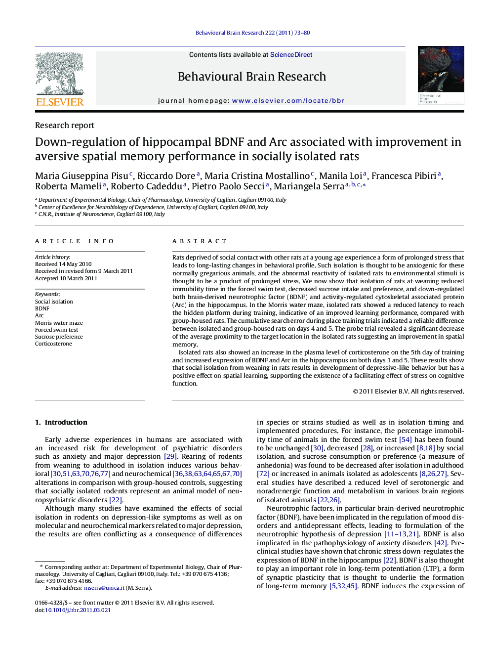 Research reportDown-regulation of hippocampal BDNF and Arc associated with improvement in aversive spatial memory performance in socially isolated rats