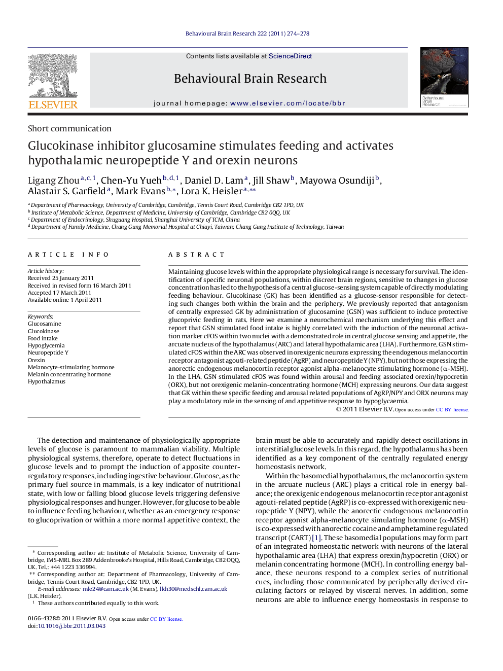 Short communicationGlucokinase inhibitor glucosamine stimulates feeding and activates hypothalamic neuropeptide Y and orexin neurons