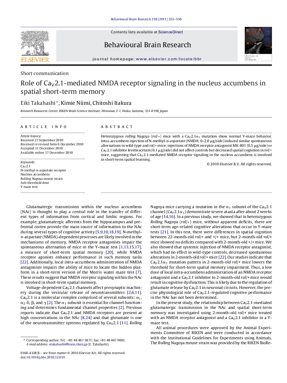 Short communicationRole of CaV2.1-mediated NMDA receptor signaling in the nucleus accumbens in spatial short-term memory