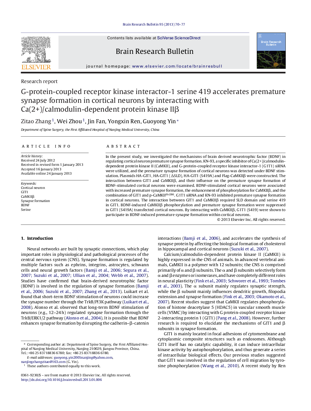 Research reportG-protein-coupled receptor kinase interactor-1 serine 419 accelerates premature synapse formation in cortical neurons by interacting with Ca(2+)/calmodulin-dependent protein kinase IIÎ²