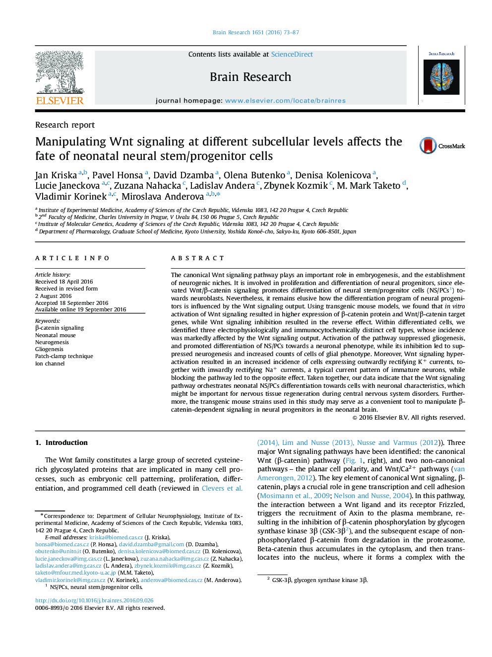 Research reportManipulating Wnt signaling at different subcellular levels affects the fate of neonatal neural stem/progenitor cells