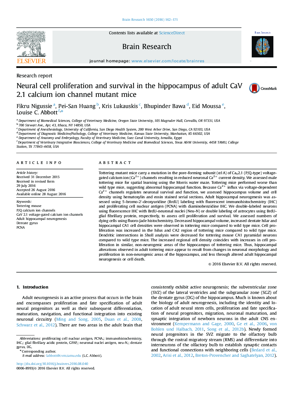 Research reportNeural cell proliferation and survival in the hippocampus of adult CaV 2.1 calcium ion channel mutant mice