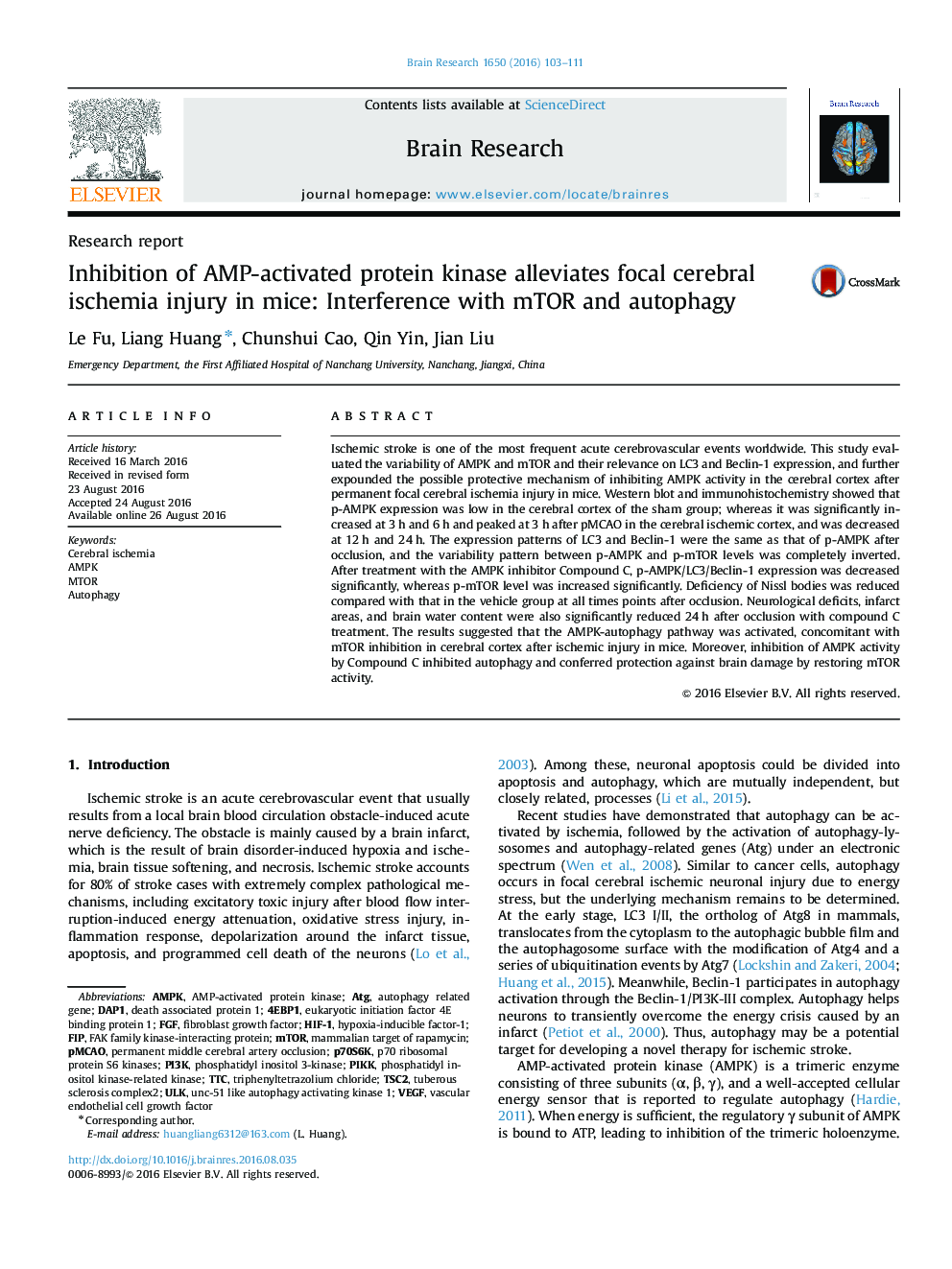 Research reportInhibition of AMP-activated protein kinase alleviates focal cerebral ischemia injury in mice: Interference with mTOR and autophagy