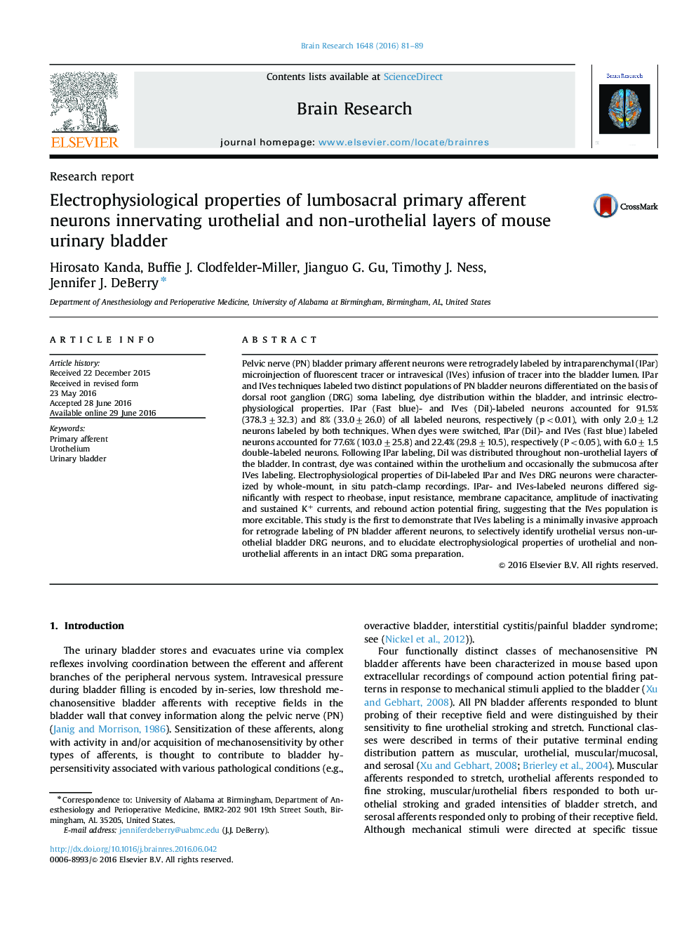 Research reportElectrophysiological properties of lumbosacral primary afferent neurons innervating urothelial and non-urothelial layers of mouse urinary bladder