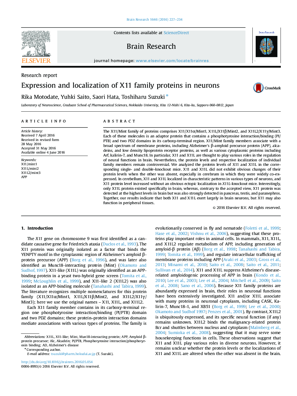 Research reportExpression and localization of X11 family proteins in neurons