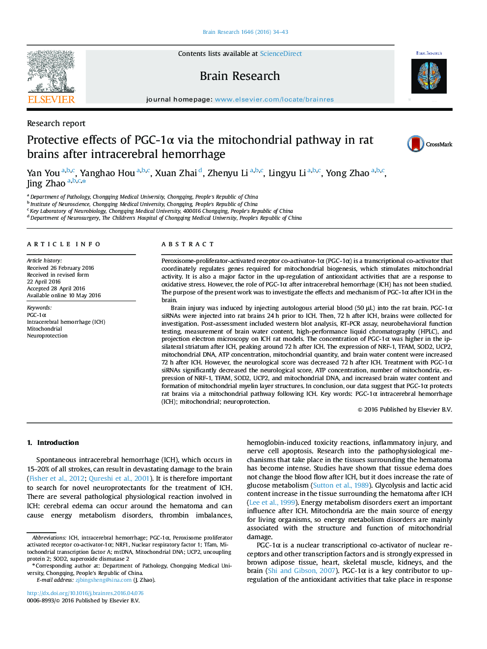 Research reportProtective effects of PGC-1Î± via the mitochondrial pathway in rat brains after intracerebral hemorrhage