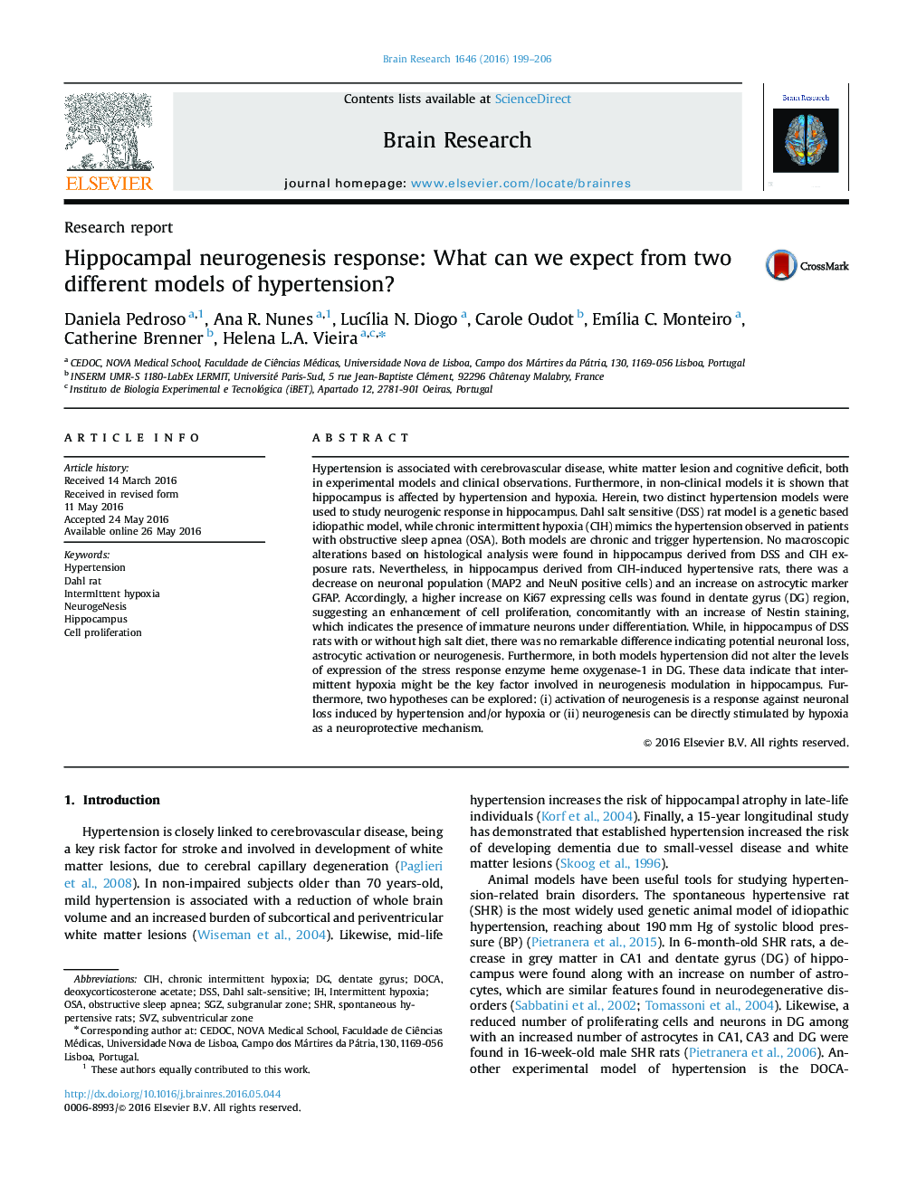 Research reportHippocampal neurogenesis response: What can we expect from two different models of hypertension?