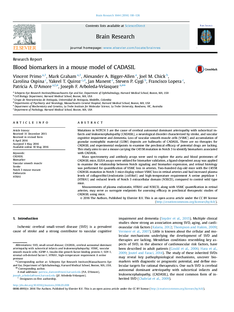 Research ReportBlood biomarkers in a mouse model of CADASIL