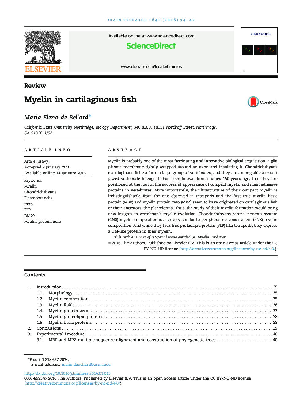 ReviewMyelin in cartilaginous fish