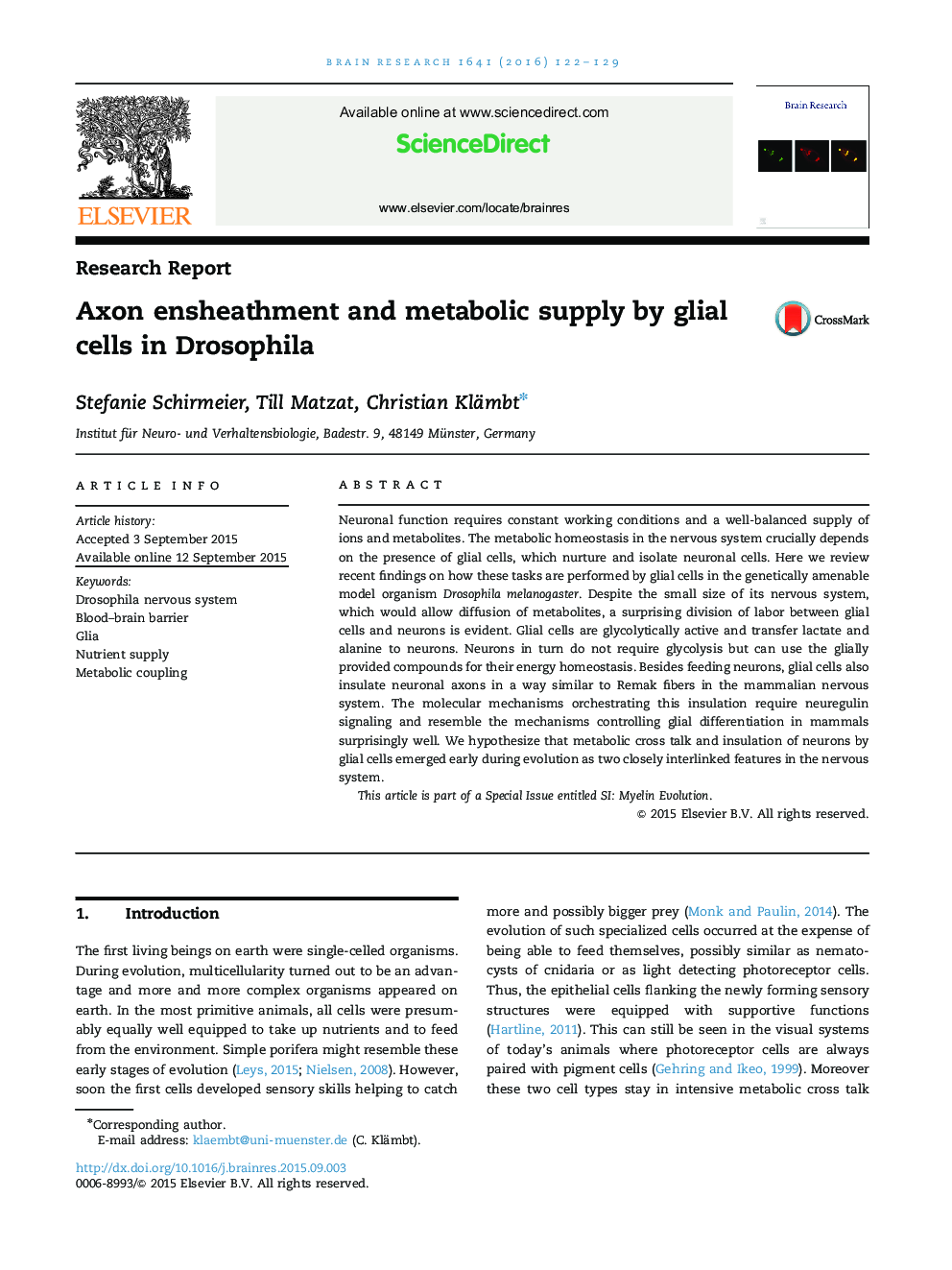 Research ReportAxon ensheathment and metabolic supply by glial cells in Drosophila